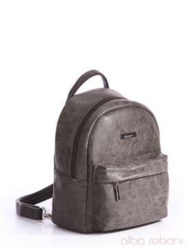 Брендовий рюкзак, модель 162064 сірий. Зображення товару, вид спереду.