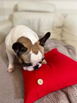 Фото товара: декоративна лляна подушка червона. Фото - 2.