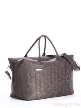 Жіноча сумка з вышивкою, модель 162801 сірий. Зображення товару, вид спереду.