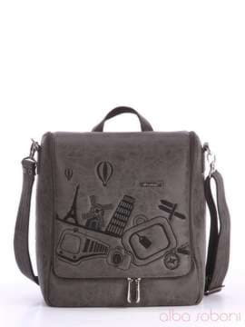 Модна сумка з вышивкою, модель 162826 сірий. Зображення товару, вид спереду.